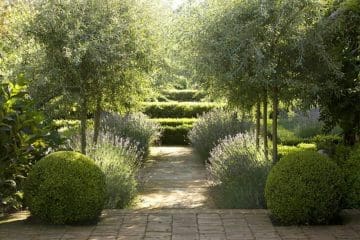 Hedging 5